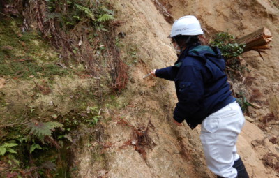 斜面の強度調査(土壌硬度計による計測)