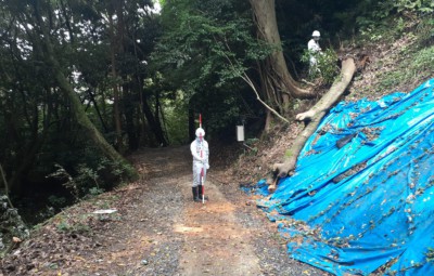 現地踏査(変状箇所の踏査)